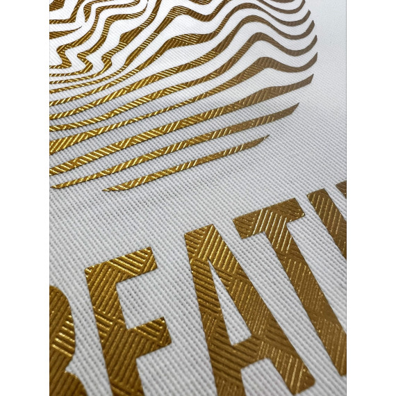 zoom effet stripe Flexnet