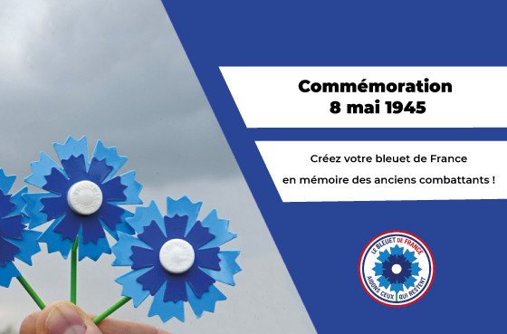 Créez votre bleuet de France chez vous facilement !